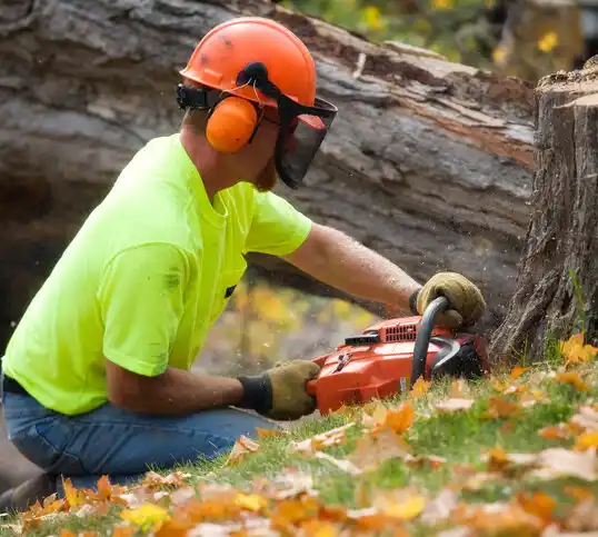 tree services Steele